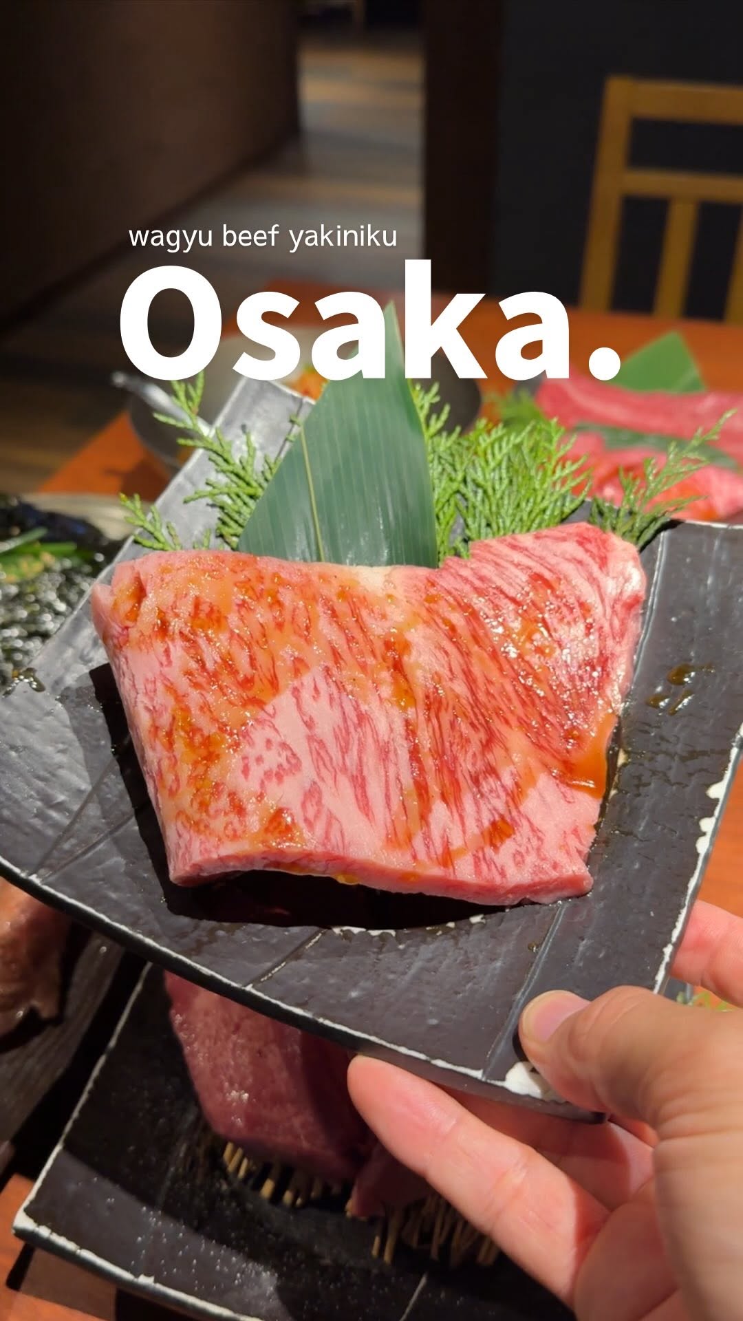 JAPAN TOURISM🇯🇵🍣, Osaka-Umeda Station