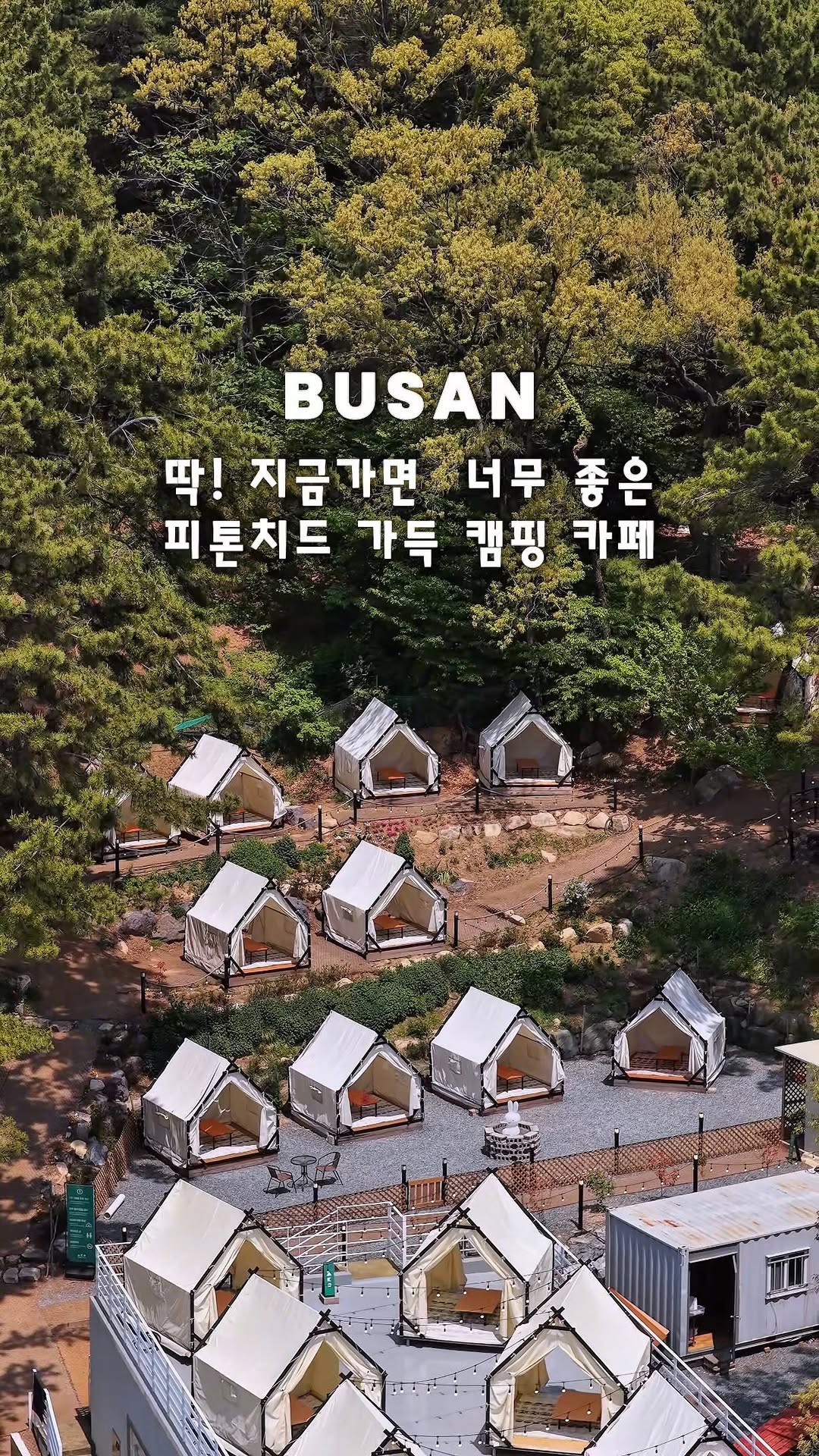 망개호박고구마 🍠 TOUR  _                        시선의 기록을 공유, 금정산성 북문