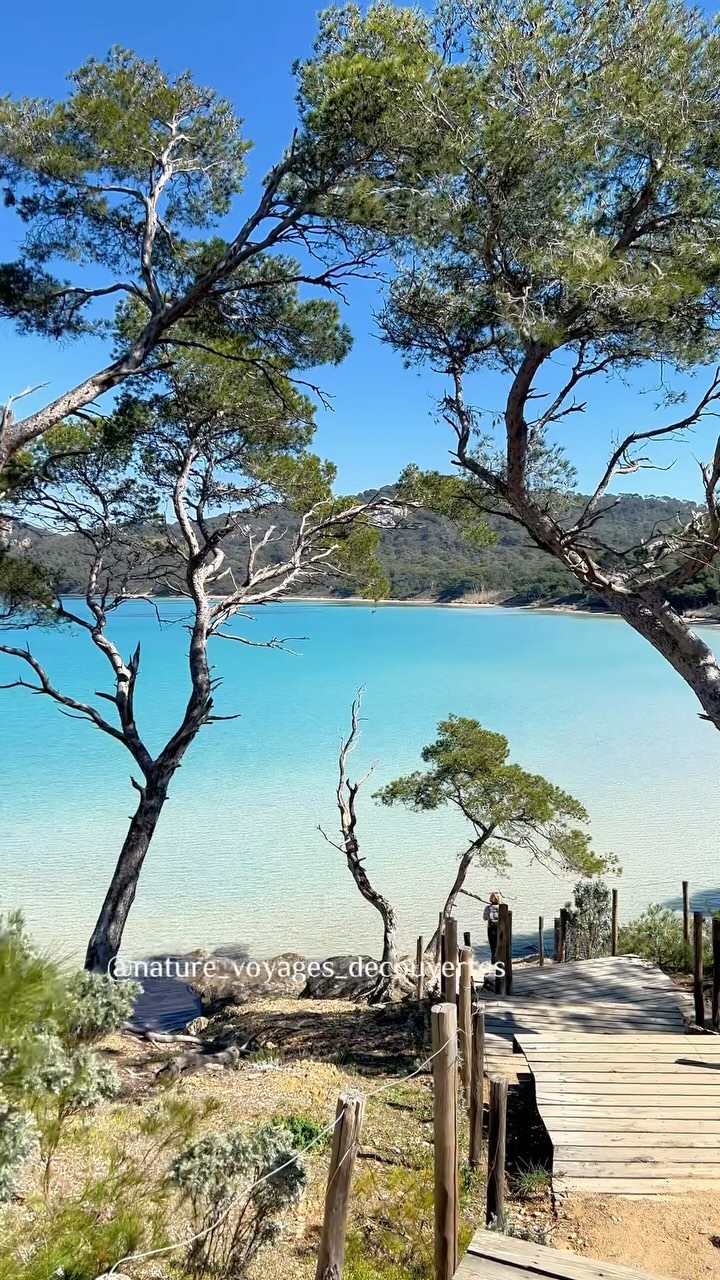 𝐴𝑢𝑑𝑟𝑒𝑦 ~ 𝑁𝑎𝑡𝑢𝑟𝑒 𝑉𝑜𝑦𝑎𝑔𝑒𝑠 𝐷𝑒́𝑐𝑜𝑢𝑣𝑒𝑟𝑡𝑒𝑠  🌿, Porquerolles