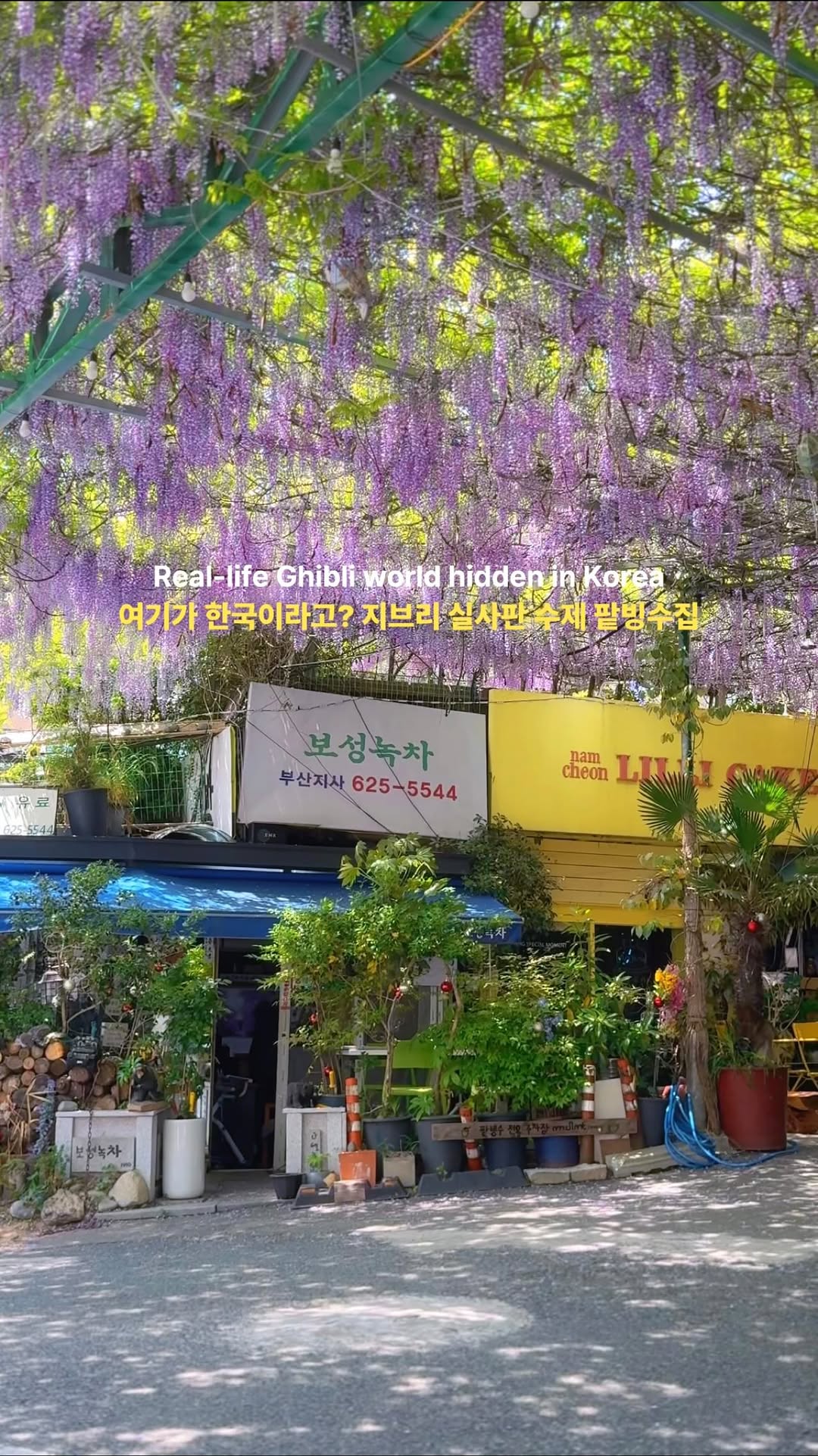 채채 | 여행 팝업 캠핑, 남천리팥빙수