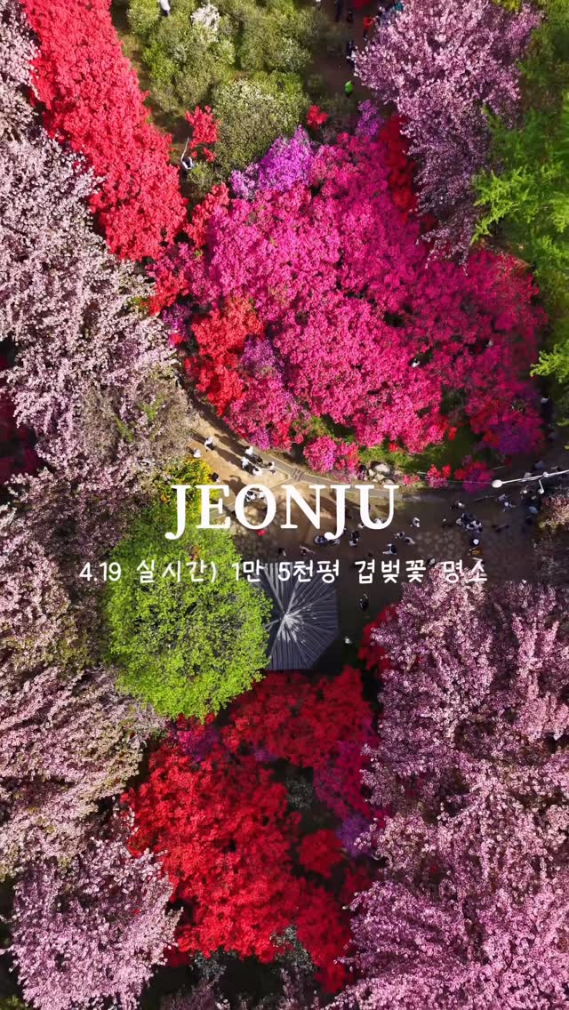 기철, National Intangible Heritage Center