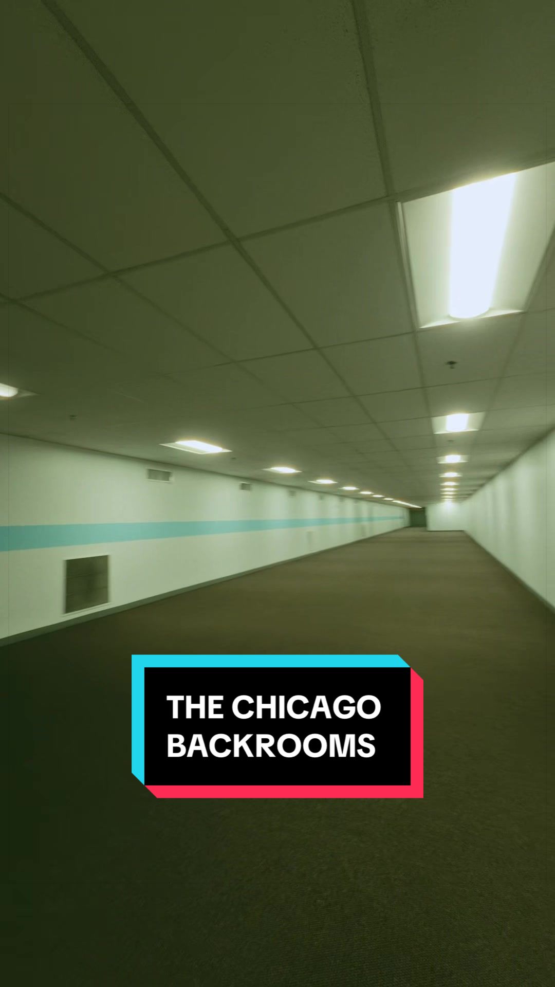 Carlos Ty, Chicago Pedway
