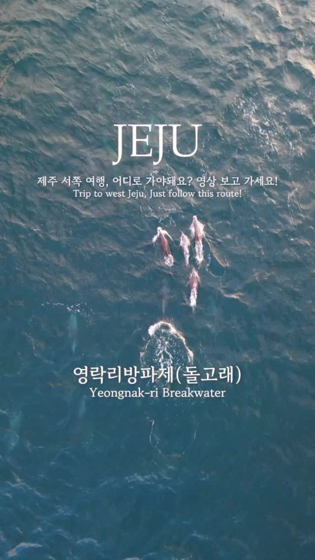 그날 / 여행크리에이터 / 사진작가, Haehwatang