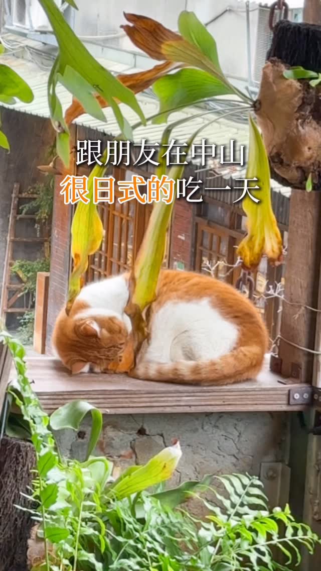 煦那皮、台北美食、台中美食、國外旅遊, 舊目立屋｜導航：赤峰街16-7號｜
