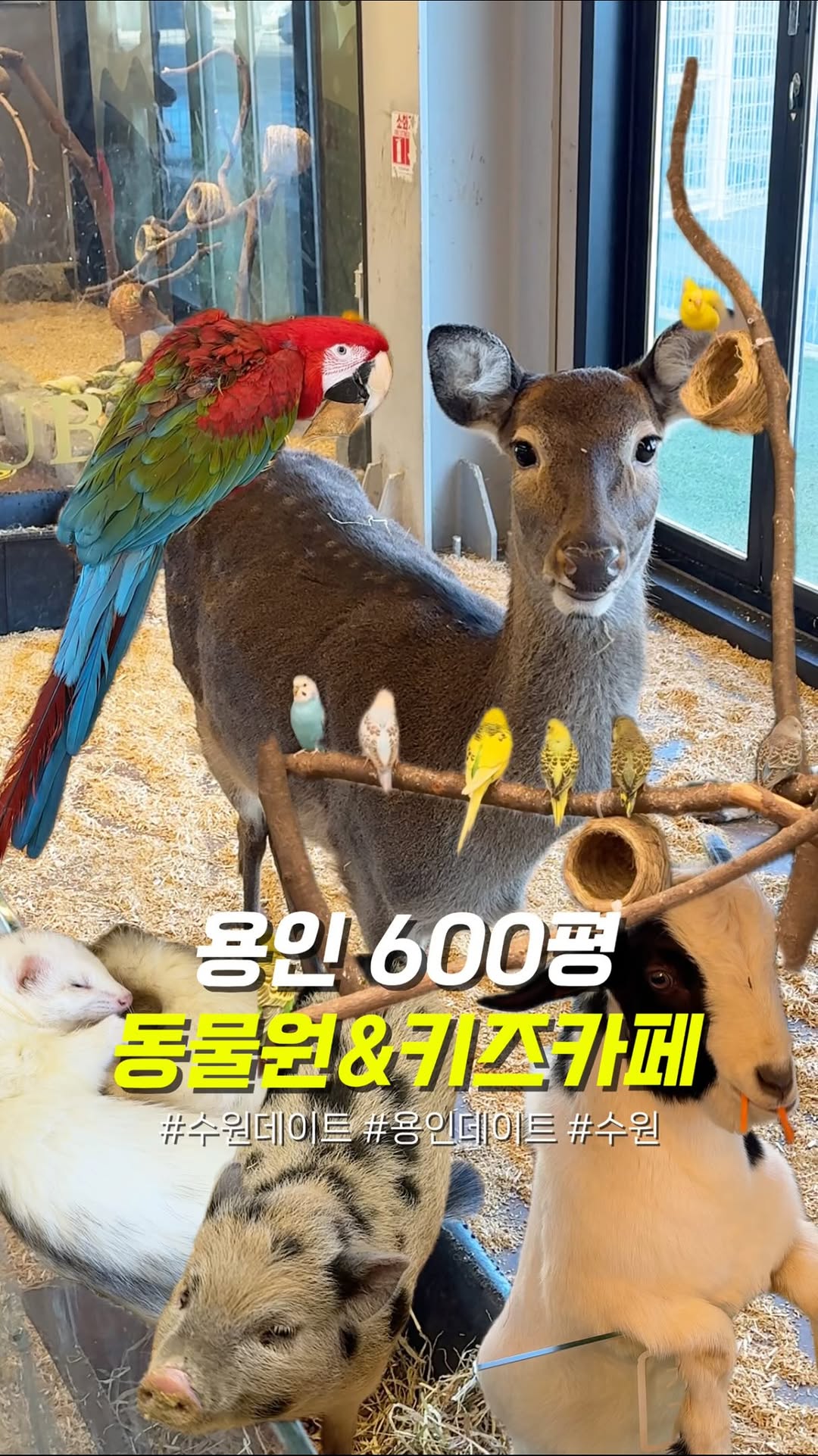 허니 먹스타 l 서울맛집, 수원맛집, 행궁동맛집, 동탄맛집, Everland