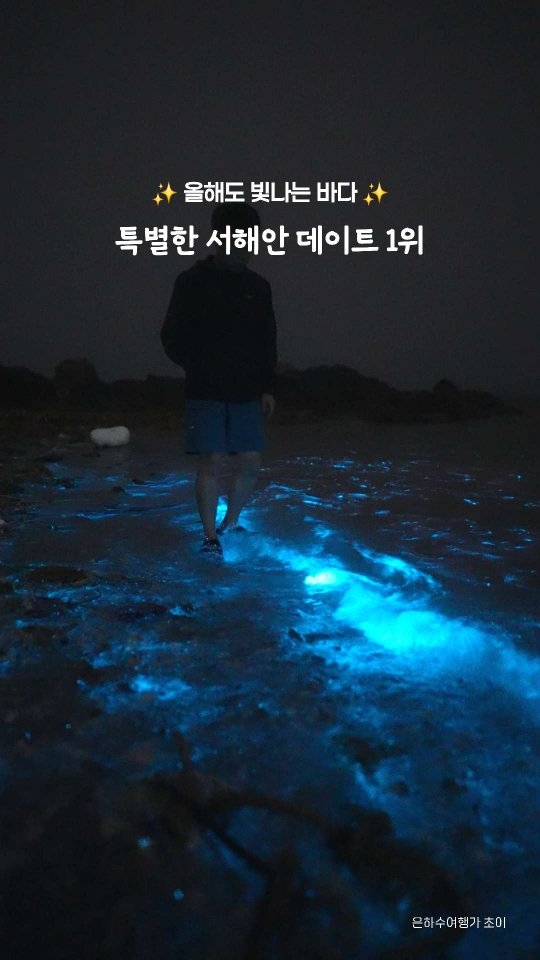은하수여행가 초이, Bohol