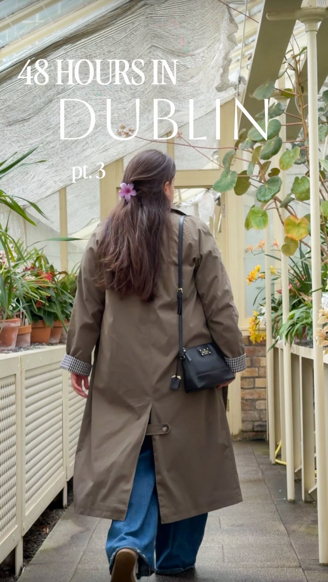 Olive | Travel guides & Travel Stories, National Botanic Gardens