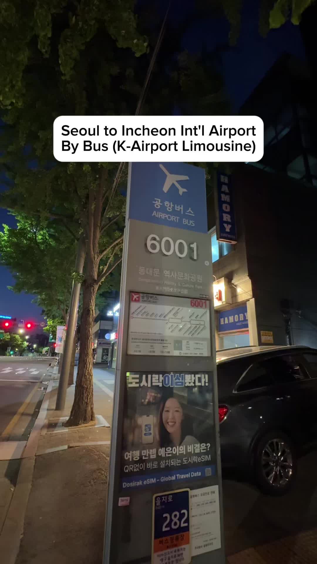 Unnie from Seoul, Incheon International Airport