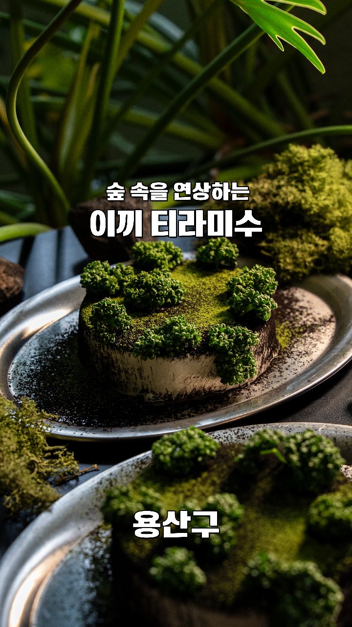 가보자곰, Sookmyung Women's Univ. (Garwol)