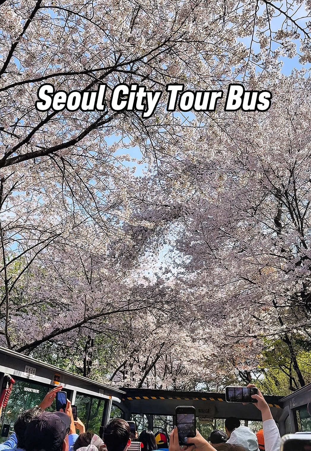 dojisook, Gyeongbokgung Palace