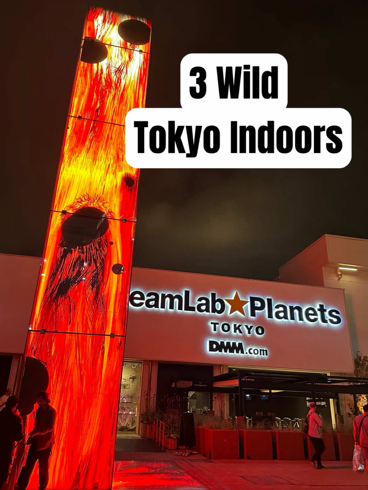 only.injapan, teamLab Planets TOKYO DMM