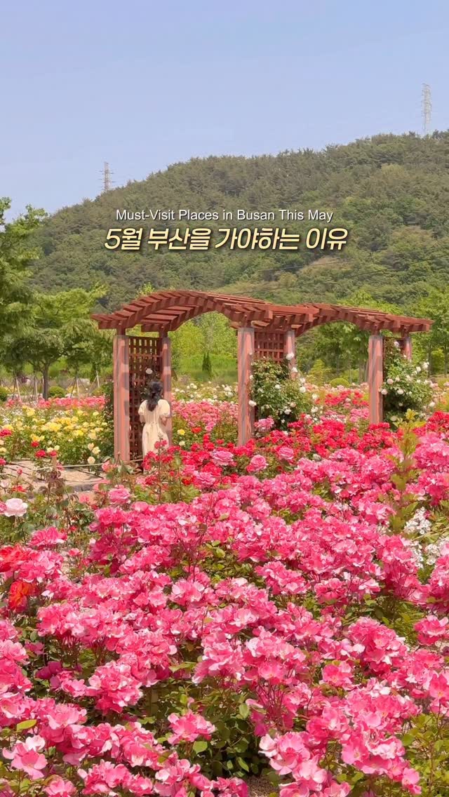 리네 | 여행•카페•공간, Samgwangsa