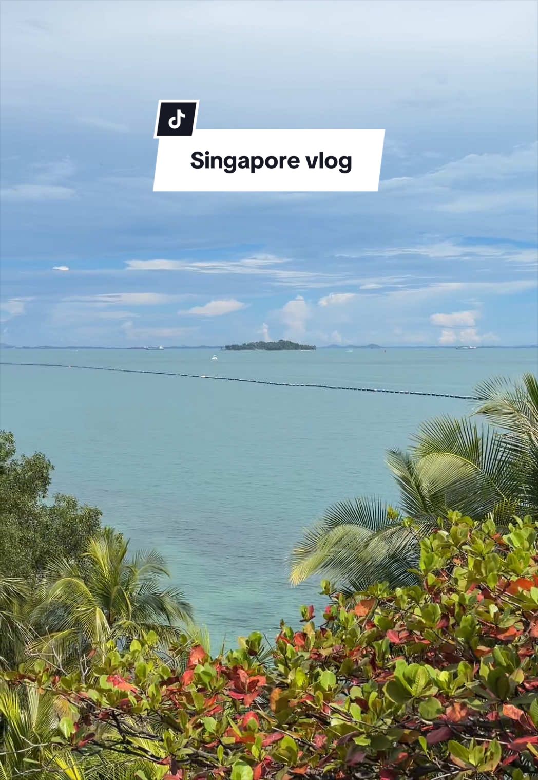 Joyce Sin, Southernmost Point of Continental Asia