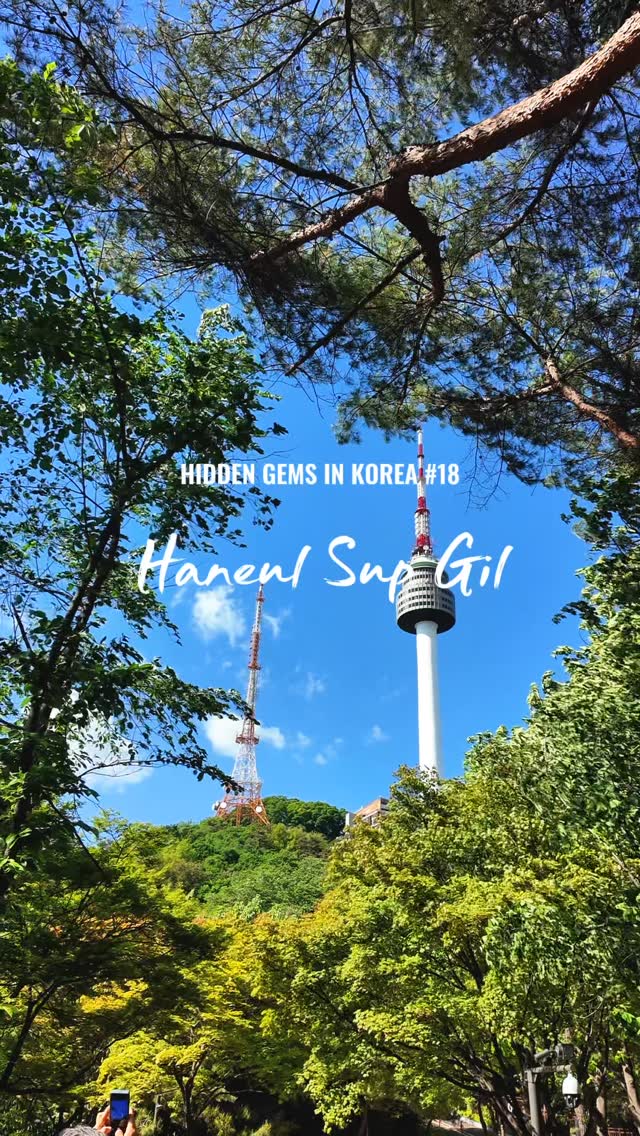 Seoul 🇰🇷 Tour Guide l Licensed Medical Tours | Beauty l Travel, N Seoul Tower