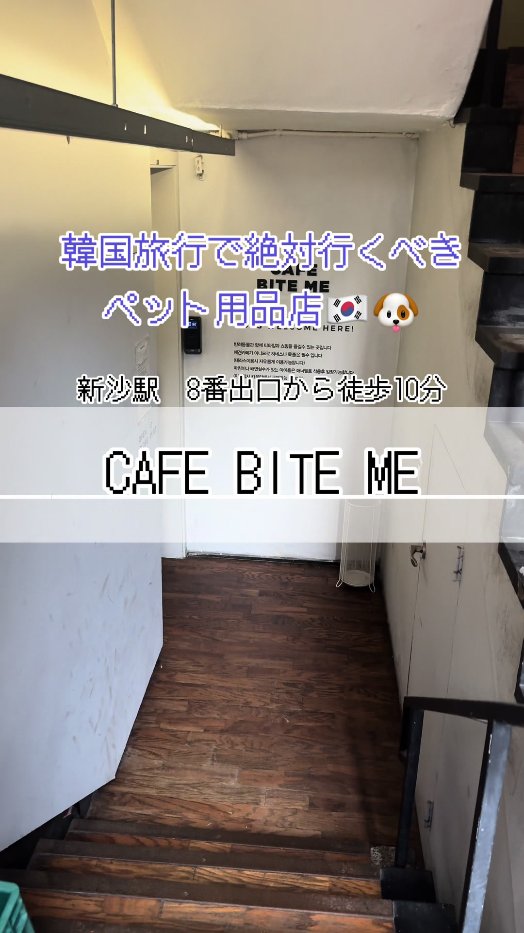 ちゃむぽむ｜ビションフリーゼ, Garosu-gil