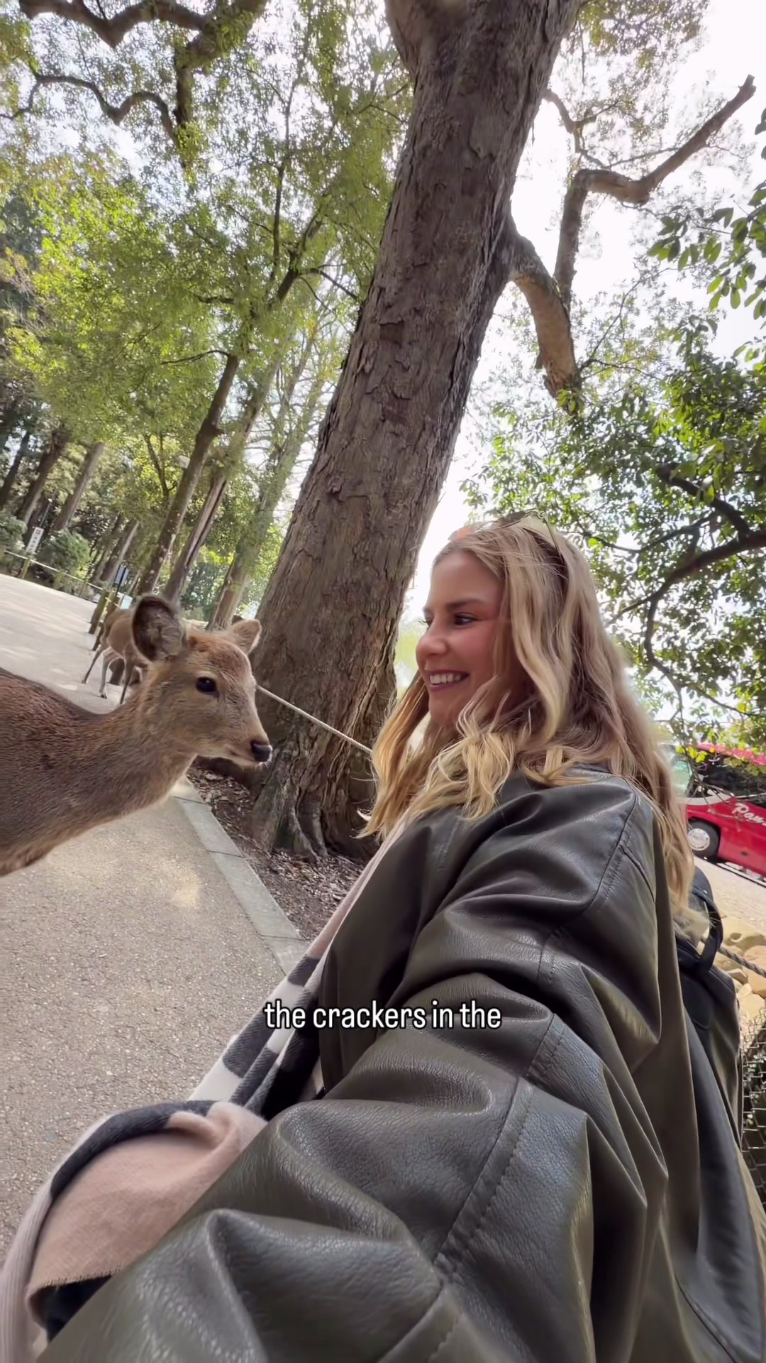 katy.savany, Nara Park