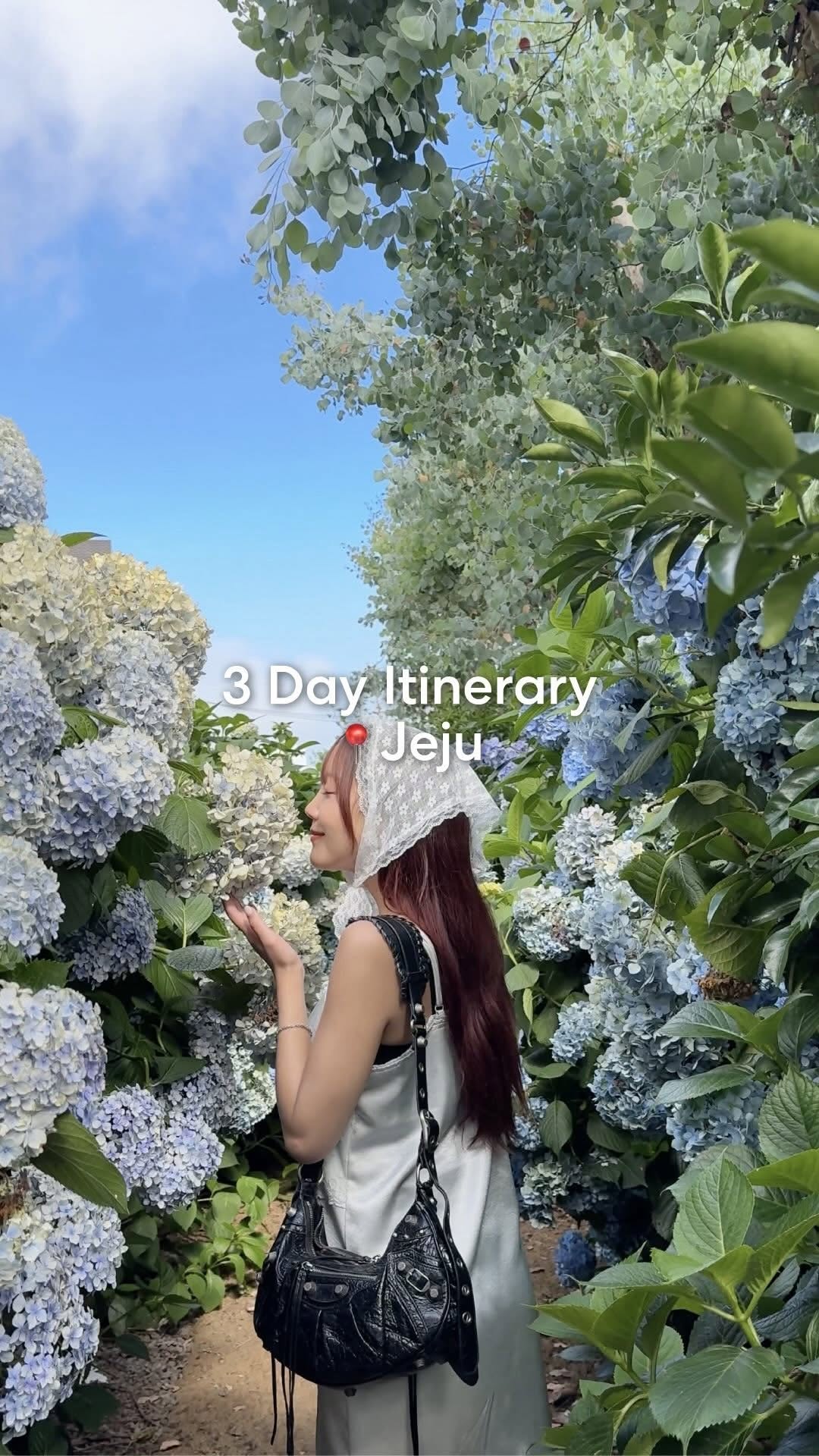Expedia, Seopjikoji