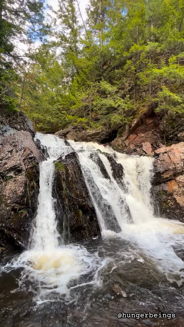 Hunger Beings | Halifax Content Creator, Joe Howe Falls