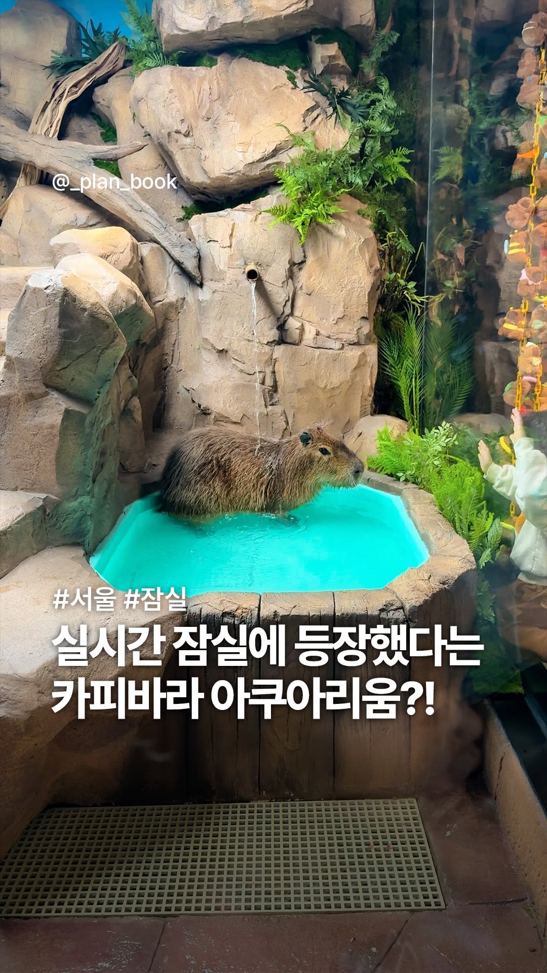 플랜북 | 카페 전시 팝업 맛집 숙소, LOTTE WORLD AQUARIUM