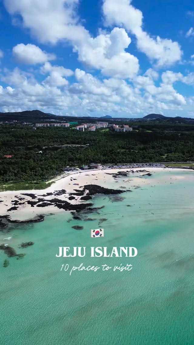 World Wild Hearts, Jusangjeollidae