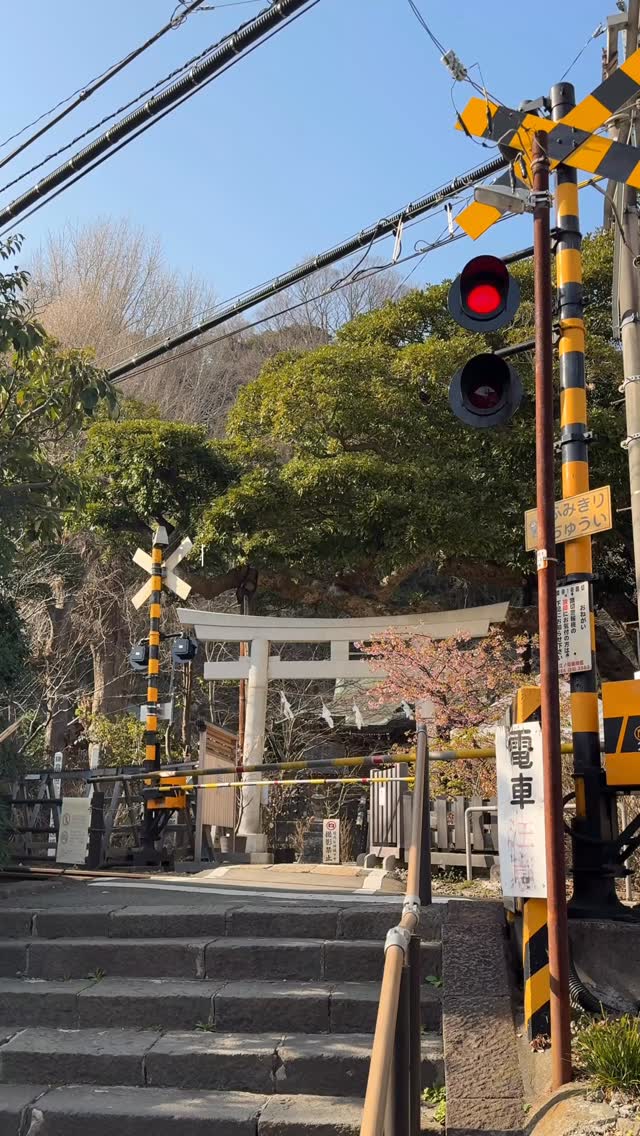 cathy (キャッシー), Kamakura Hasedera