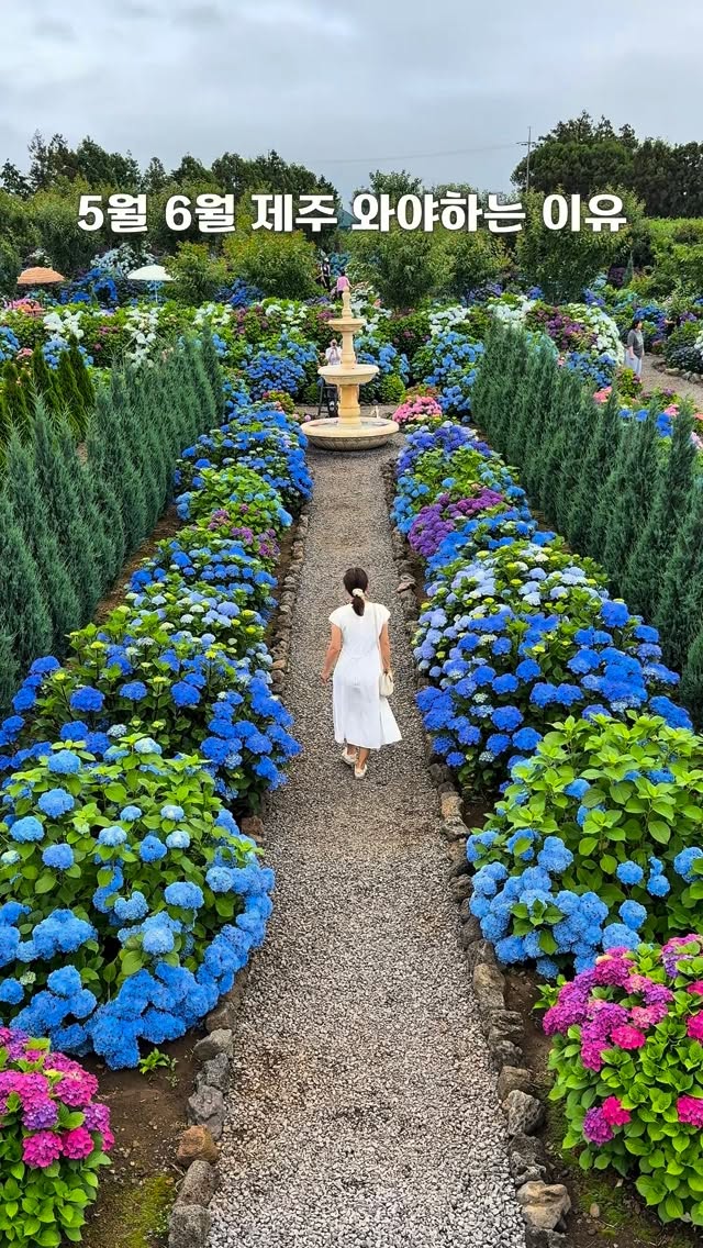 제주 주르레 | 제주여행 핫플 숨은명소, Jeju Stone Park
