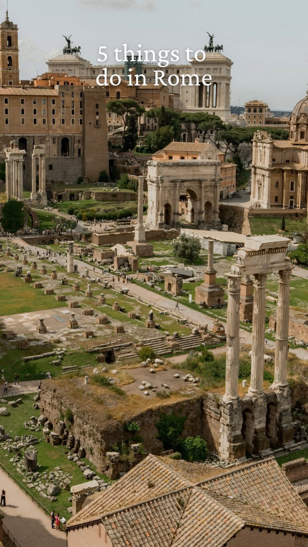 Alicia Cooper, Colosseum