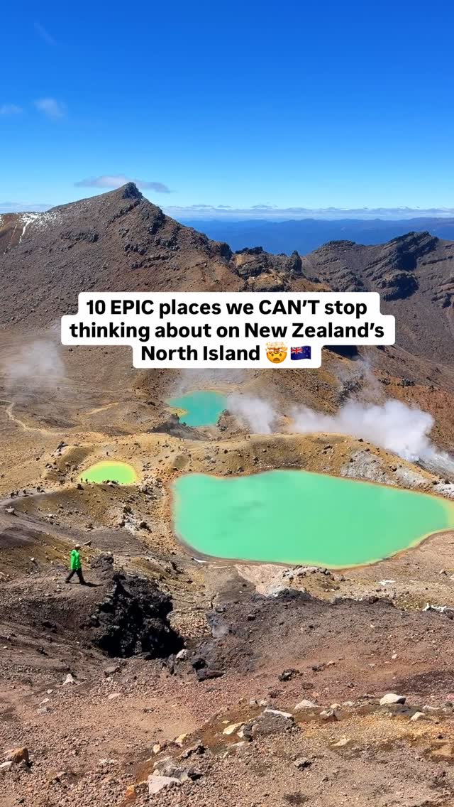 Britt & Mitch ✈ Australian Travel Creators, Museum of New Zealand Te Papa Tongarewa