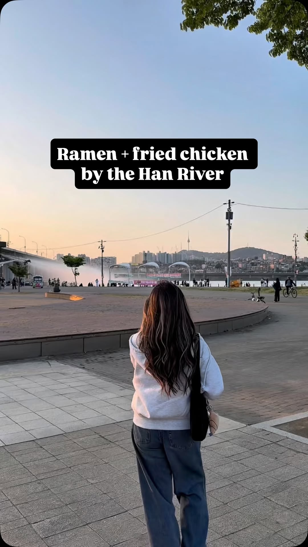 Tiffany C, Banpo Bridge