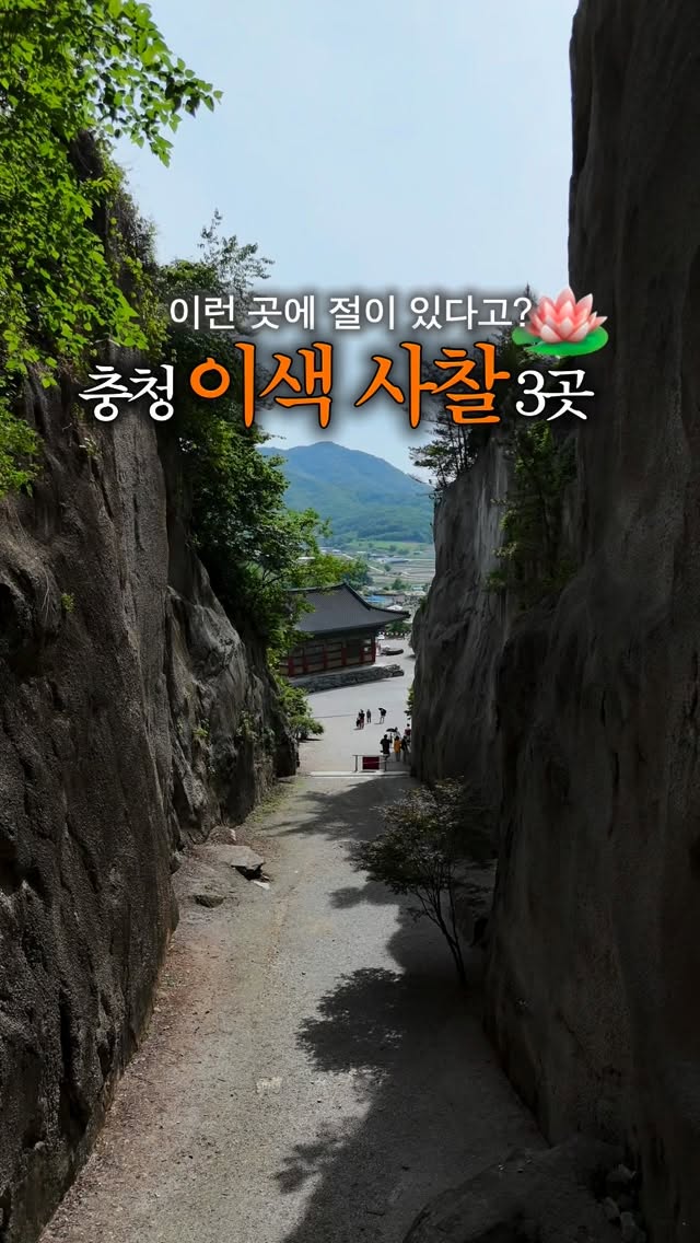 아리 | 대전•충청 여행 카페 맛집, Anmyeon-Am