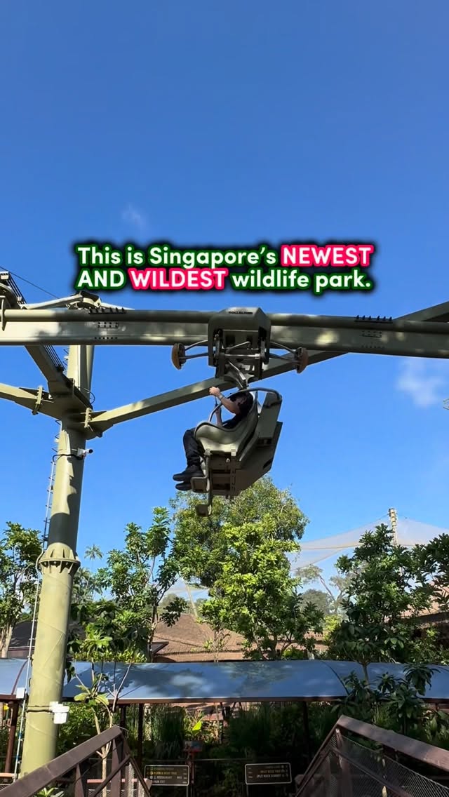 Cheekiemonkies, Singapore Zoo