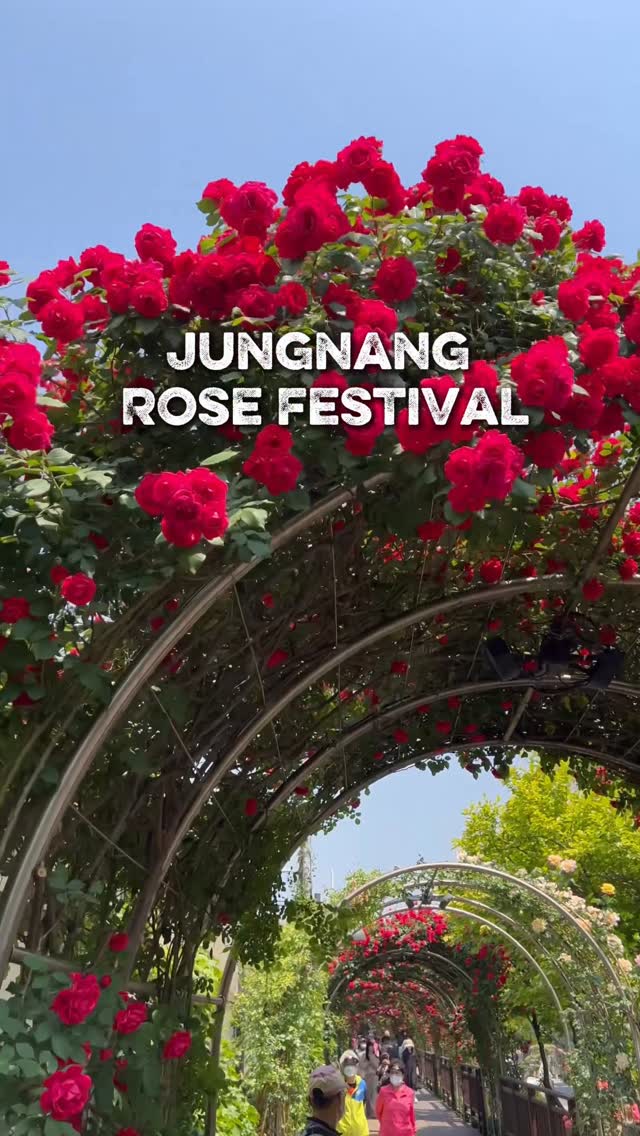 Hristo Georgiev, Jungnang Rose Park
