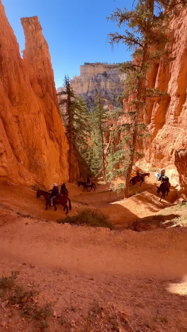 Cathy LaTourrette, Bryce Canyon National Park