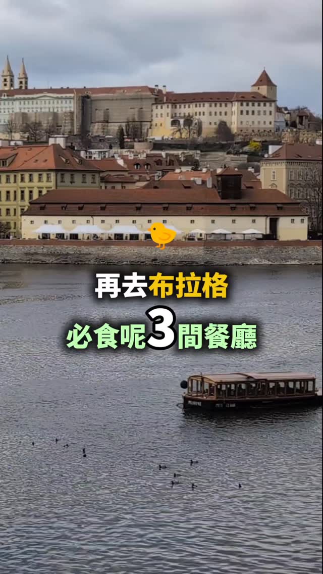 ManLing 🇭🇰倫敦司機導遊|行程規劃師, Pork's