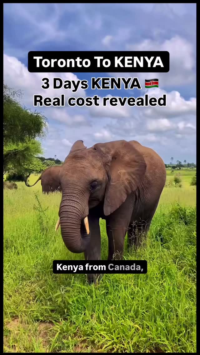 Vibhav | Canadian Life, Smart Travel & Savings 🇨🇦✈️💰, Maasai Mara National Reserve