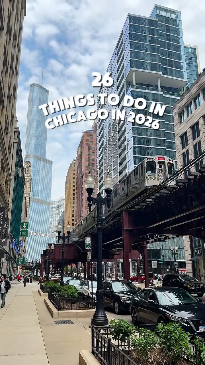 Kaylee Jo Flores, The Art Institute of Chicago