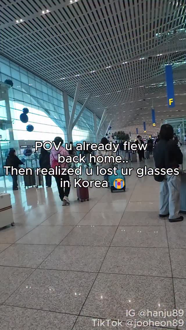Korean Local Assistant, Incheon International Airport