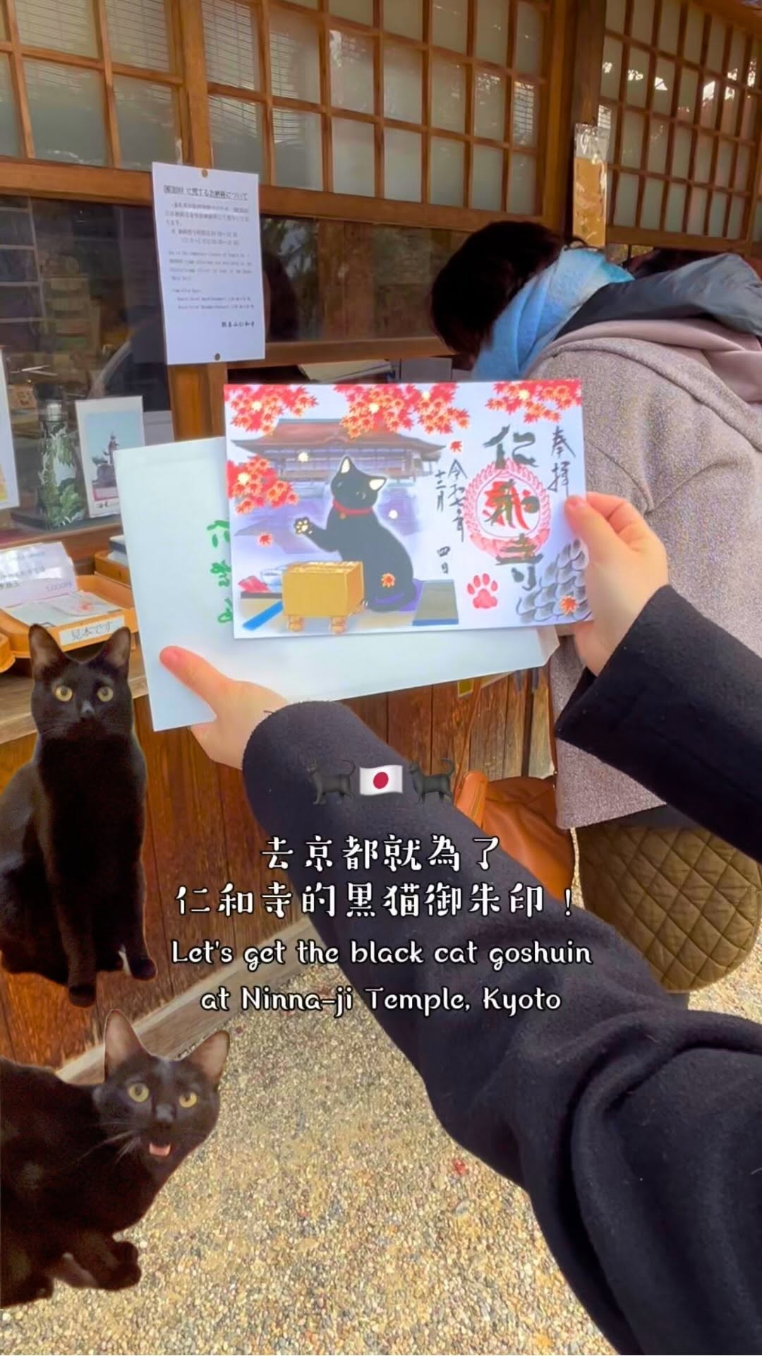 莫路狂花 on the move, Ninnaji