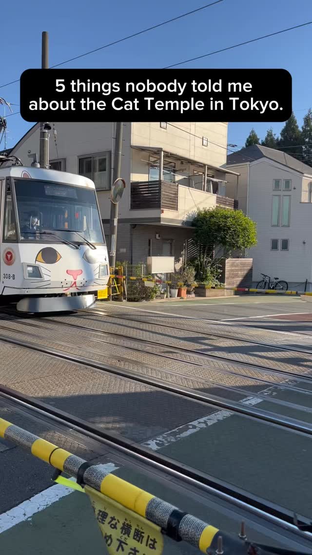 todays transit, Gōtokuji Temple