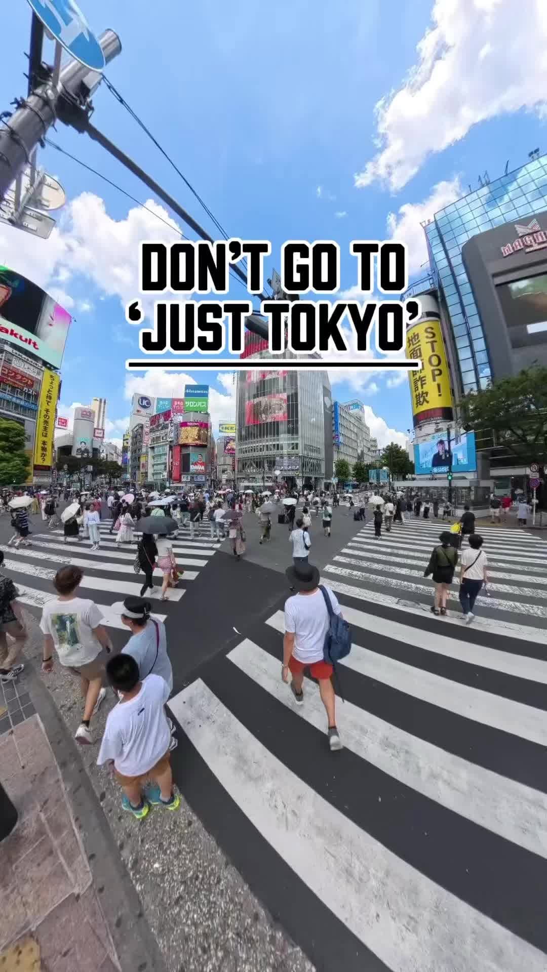 Japan Travel by the-savvytourist.com, Shibuya Scramble Crossing