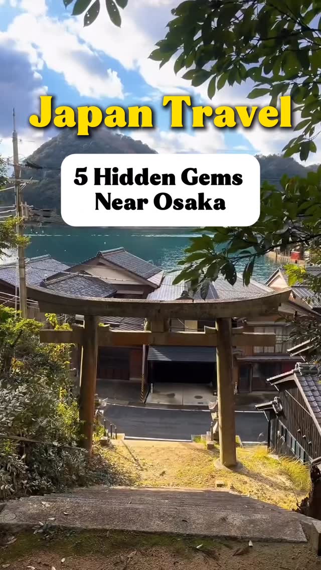 Japan Travel-Ryan, Nara Park