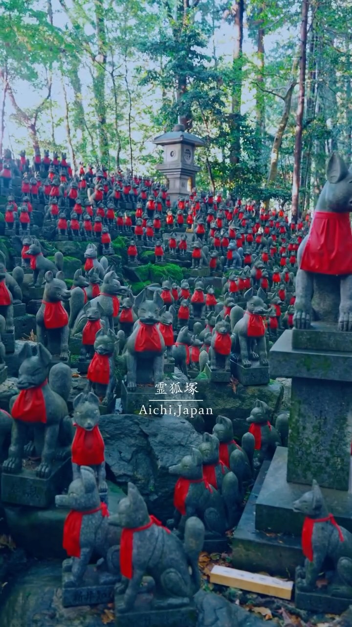 𝗥𝗲𝗼🎥𝗧𝗿𝗮𝘃𝗲𝗹 𝗝𝗮𝗽𝗮𝗻🇯🇵, Reikozuka