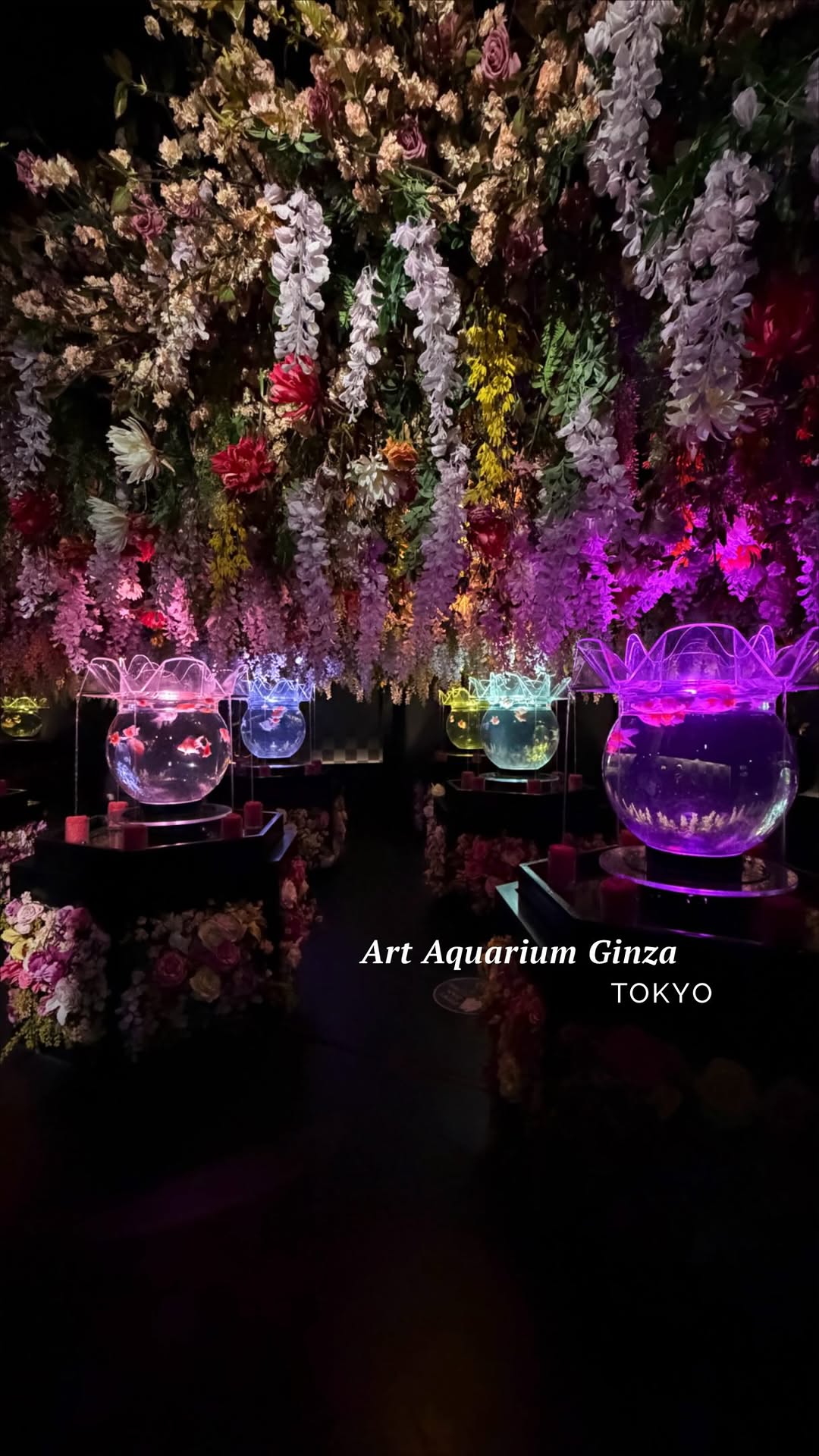 Alana Wu | Tribeofwuwu | Beauty & Family, Ginza Station
