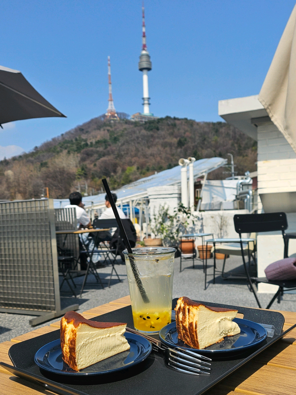 Lou Ann | Seoul & Travels, N Seoul Tower