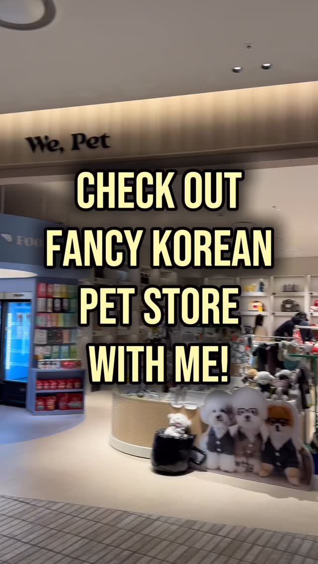 My Chili Dog, The Hyundai Seoul
