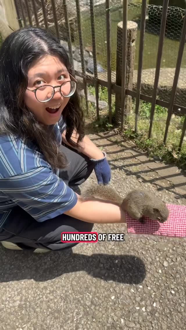 Lorenzita Santos, Machida Squirrel Garden
