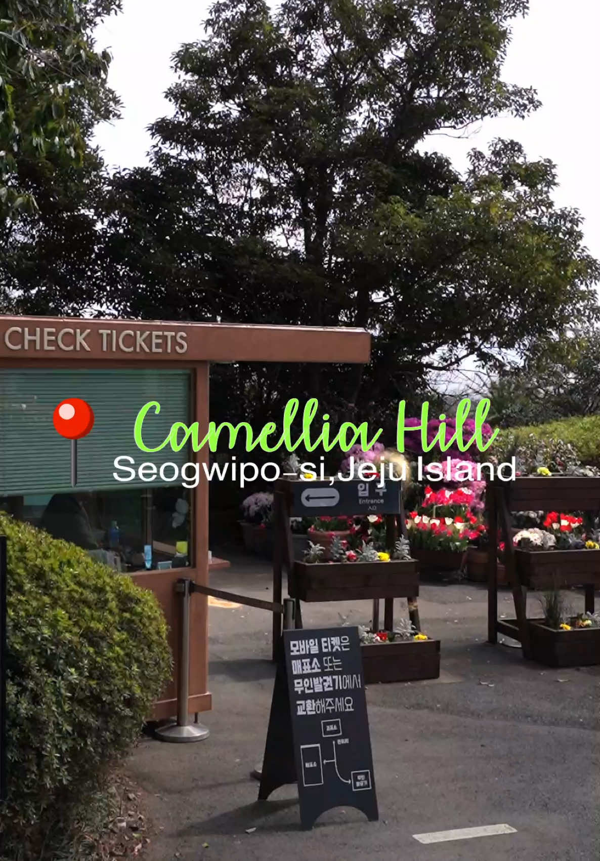 Kimchi 친구, Camellia Hill Botanical Garden