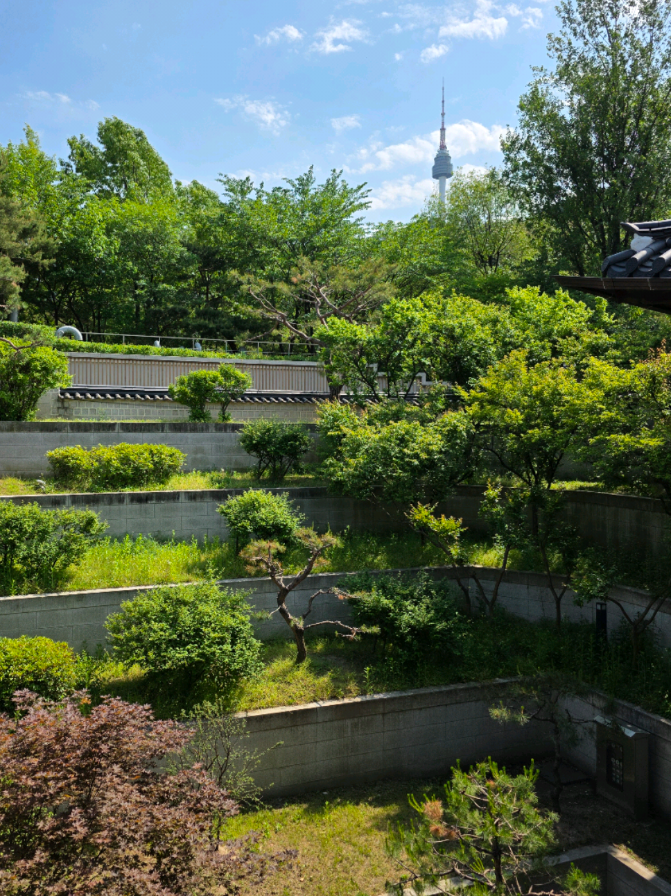 Lou Ann | Seoul & Travels, N Seoul Tower