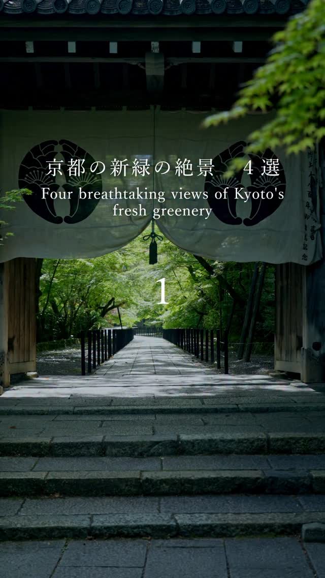 TaKi, Kifune Shrine