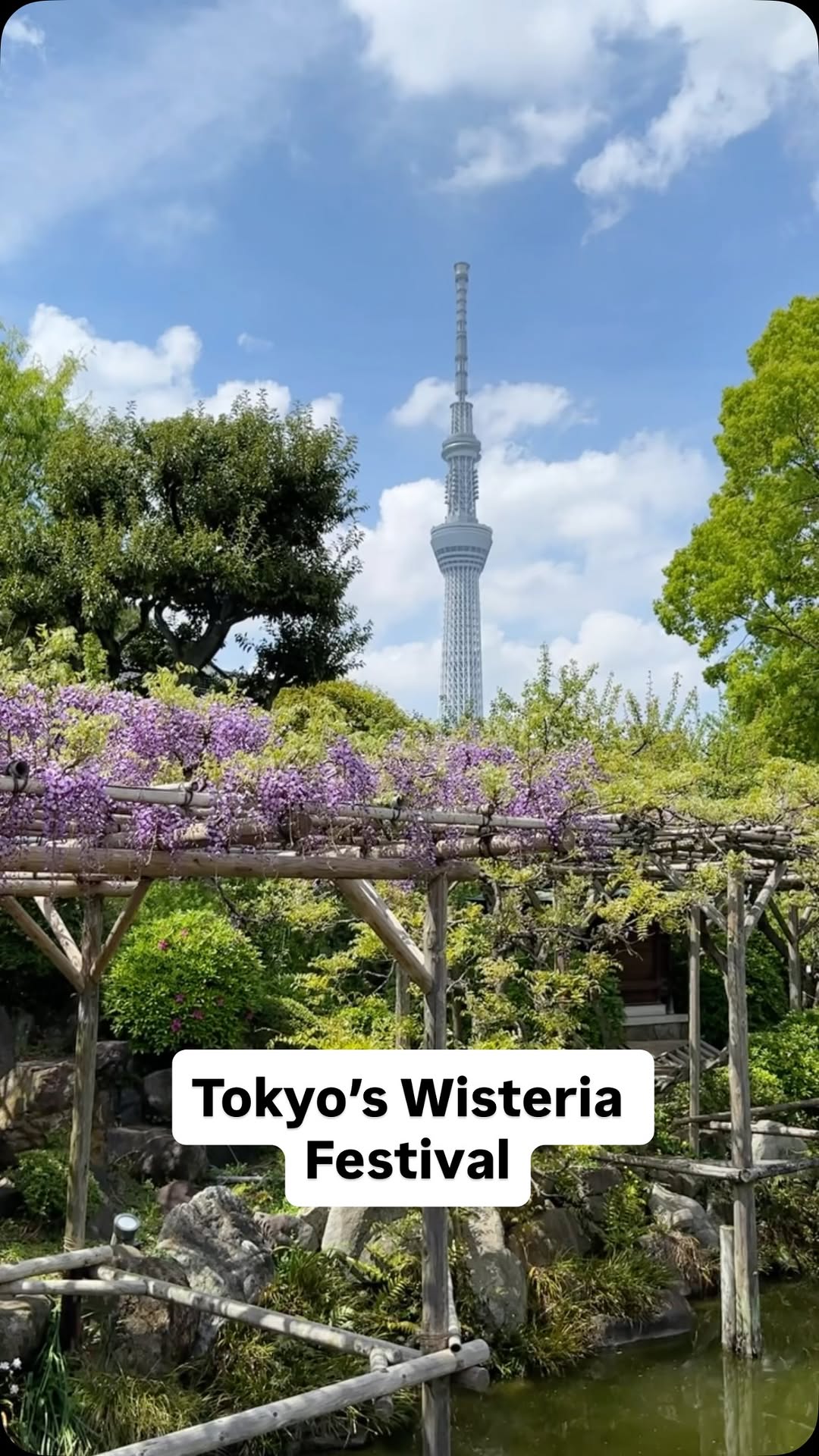 VioletVik | Japan Travel & Lifestyle, Tokyo Skytree